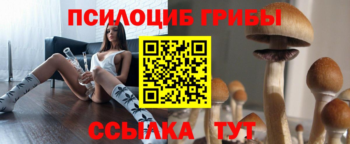 закладки  Галлюциногенные грибы мухоморы  Вход с VPN  Сунжа 