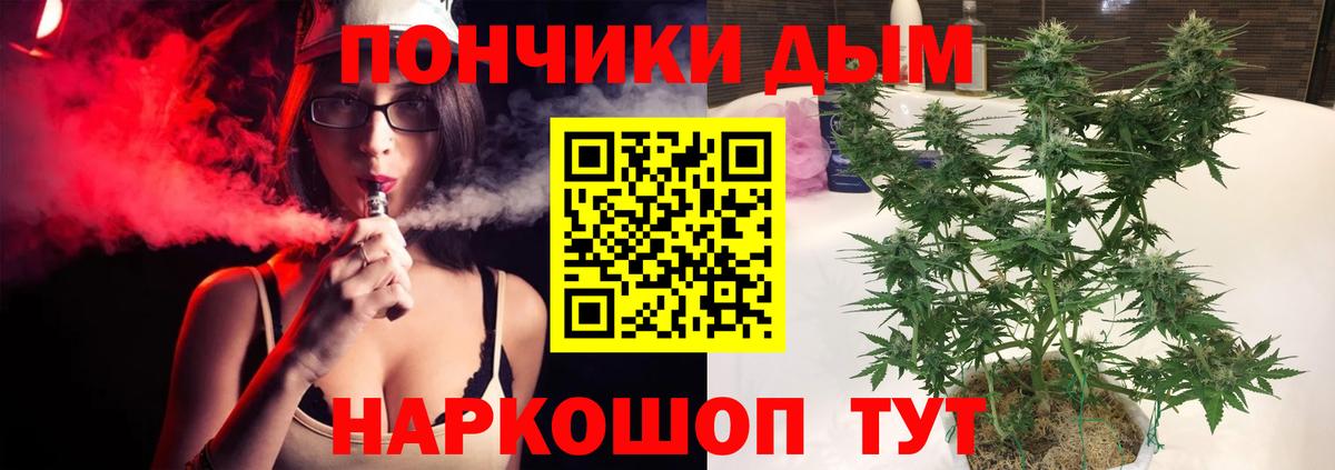 Шишки марихуана семена  Шишки марихуана план  Каннабис LSD WEED  Конопля Bruce Banner  Сунжа  Вход с VPN 